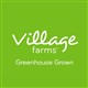 Village Farms International, Inc. stock logo
