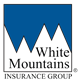 White Mountains Insurance Group, Ltd. stock logo