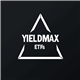 YieldMax SMCI Option Income Strategy ETF logo