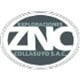 Zincore Metals Inc stock logo