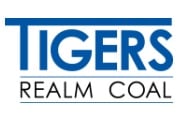 TIG stock logo