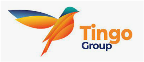 Tingo Group logo