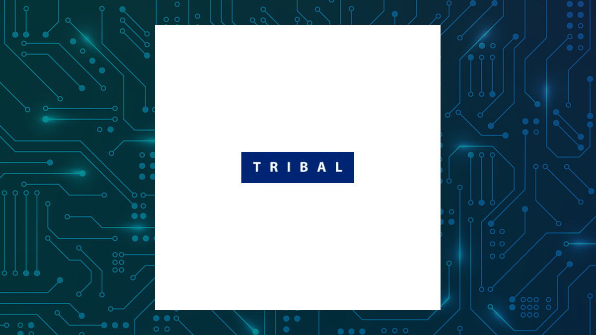 Tribal Group logo