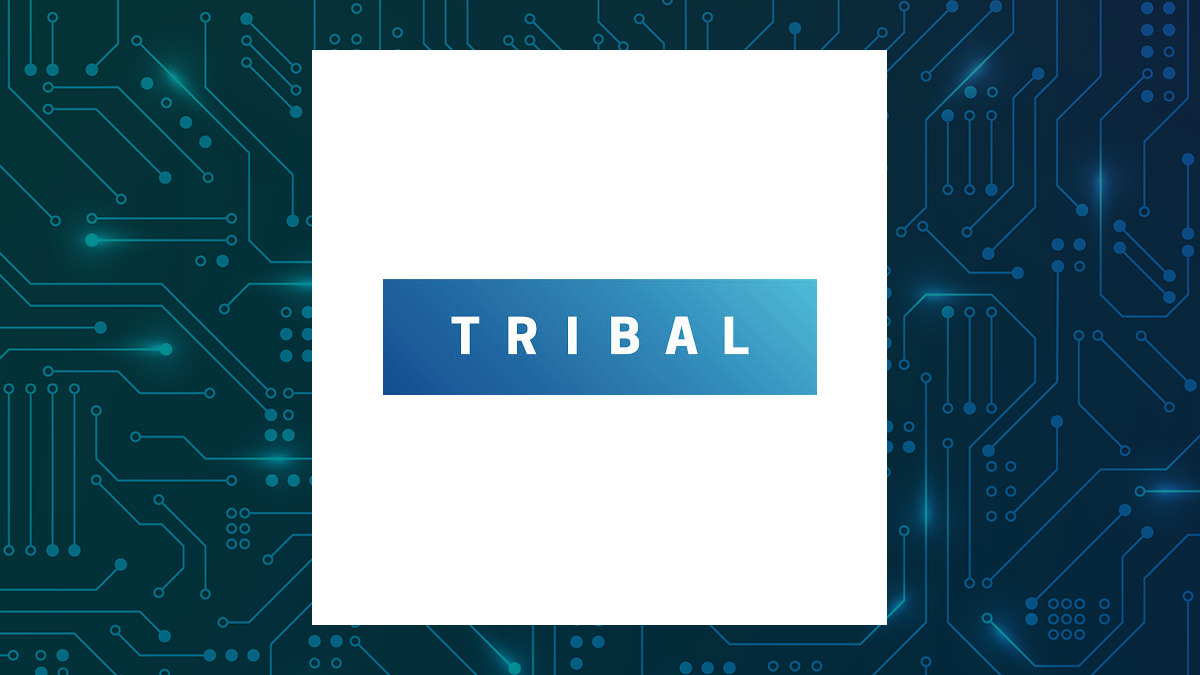 Tribal Group logo