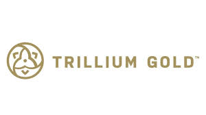 Trillium Gold Mines (CVE:TGM) Shares Pass Below Two Hundred Day Moving Average of $0.18 - Vimarsana News
