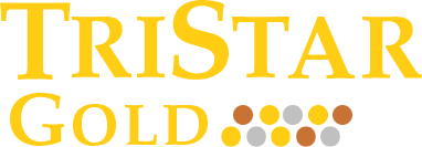 TSG stock logo