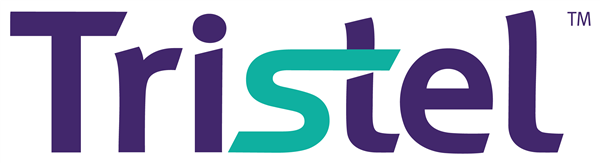 TSTL stock logo