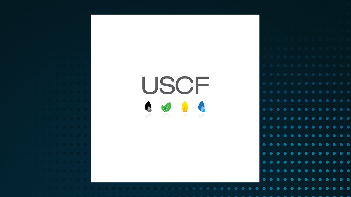 United States Commodity Index Fund logo