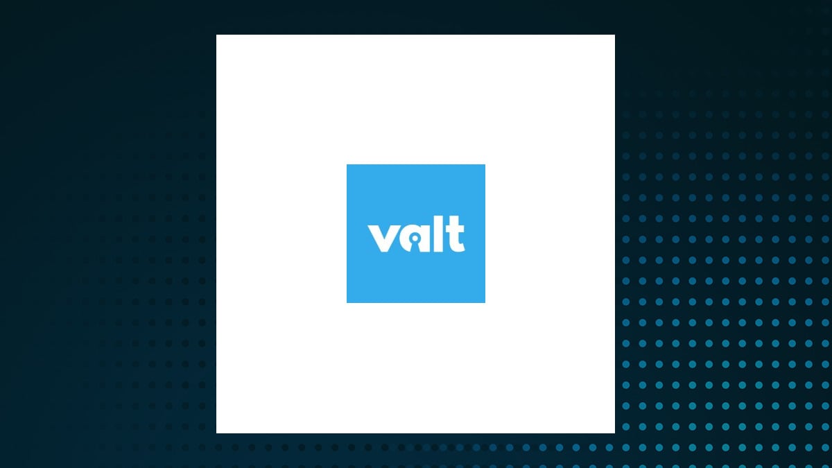 Valt Technology Services logo