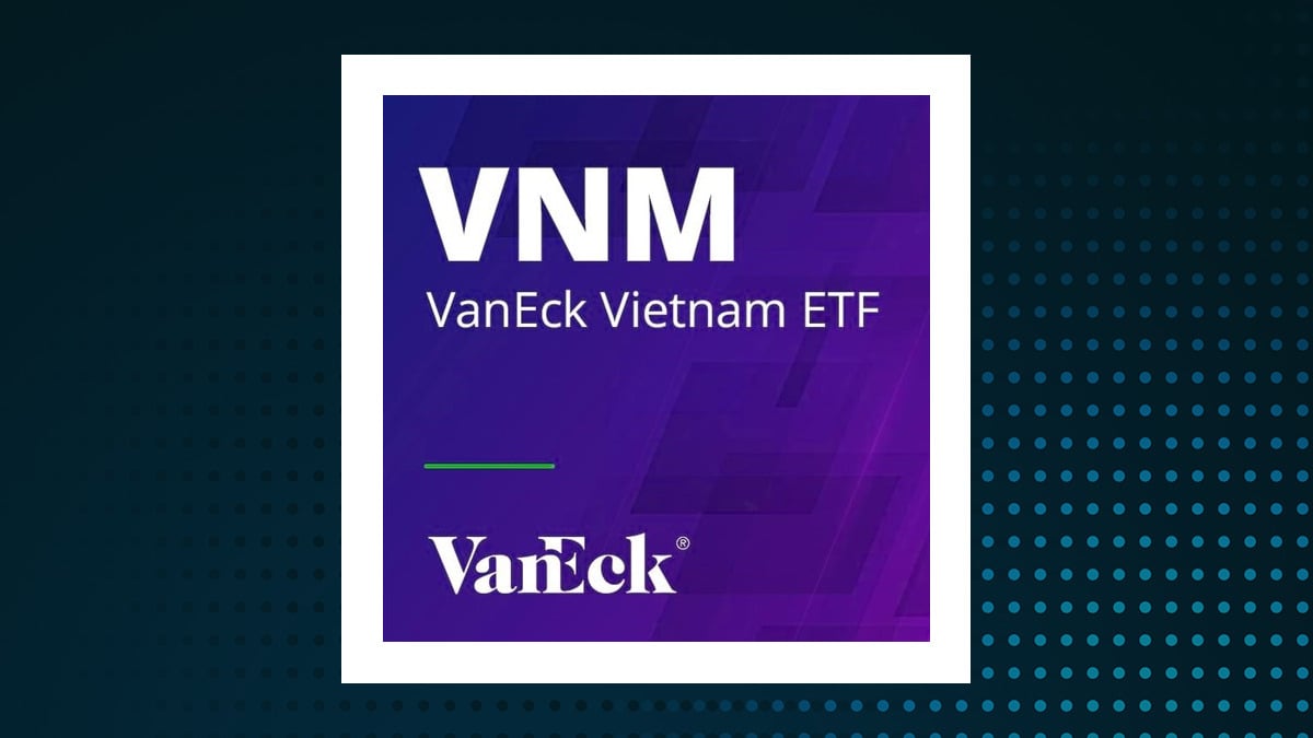 VanEck Vietnam ETF logo
