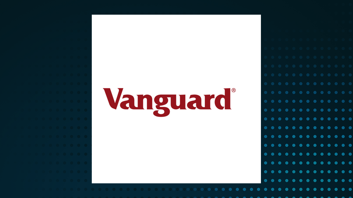 Vanguard Total International Stock ETF logo