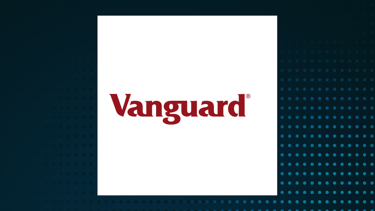 Vanguard Total International Stock Index Fund ETF Shares logo