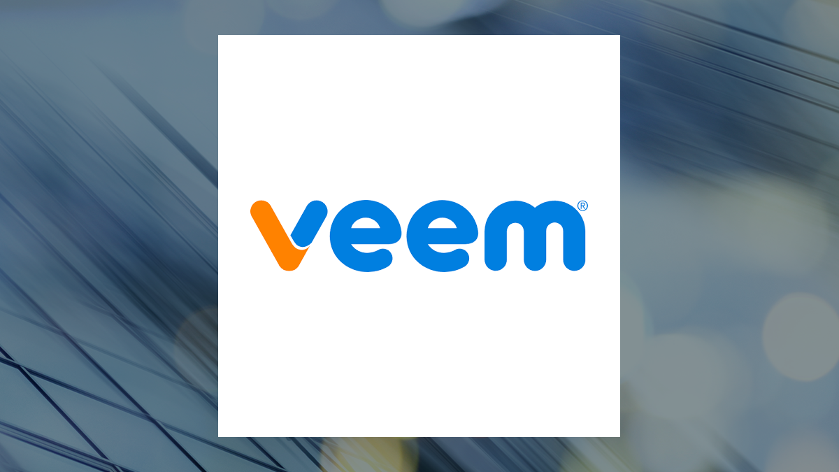 VEEM logo