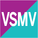 VSMV stock logo