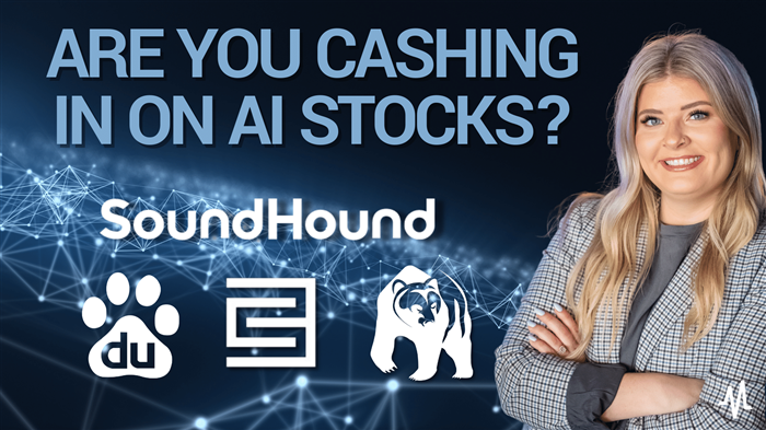 Are you Cashing in on AI Stocks?