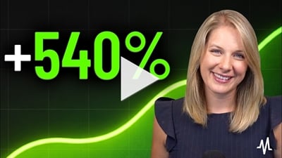 Interest Rates Can't Touch These 3 Stocks (One is Up 540%)