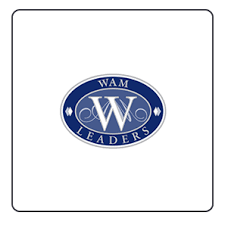 WLE stock logo