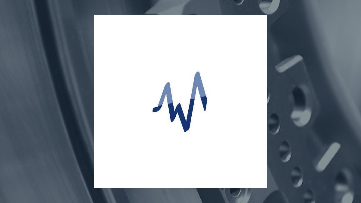 Wave Systems logo