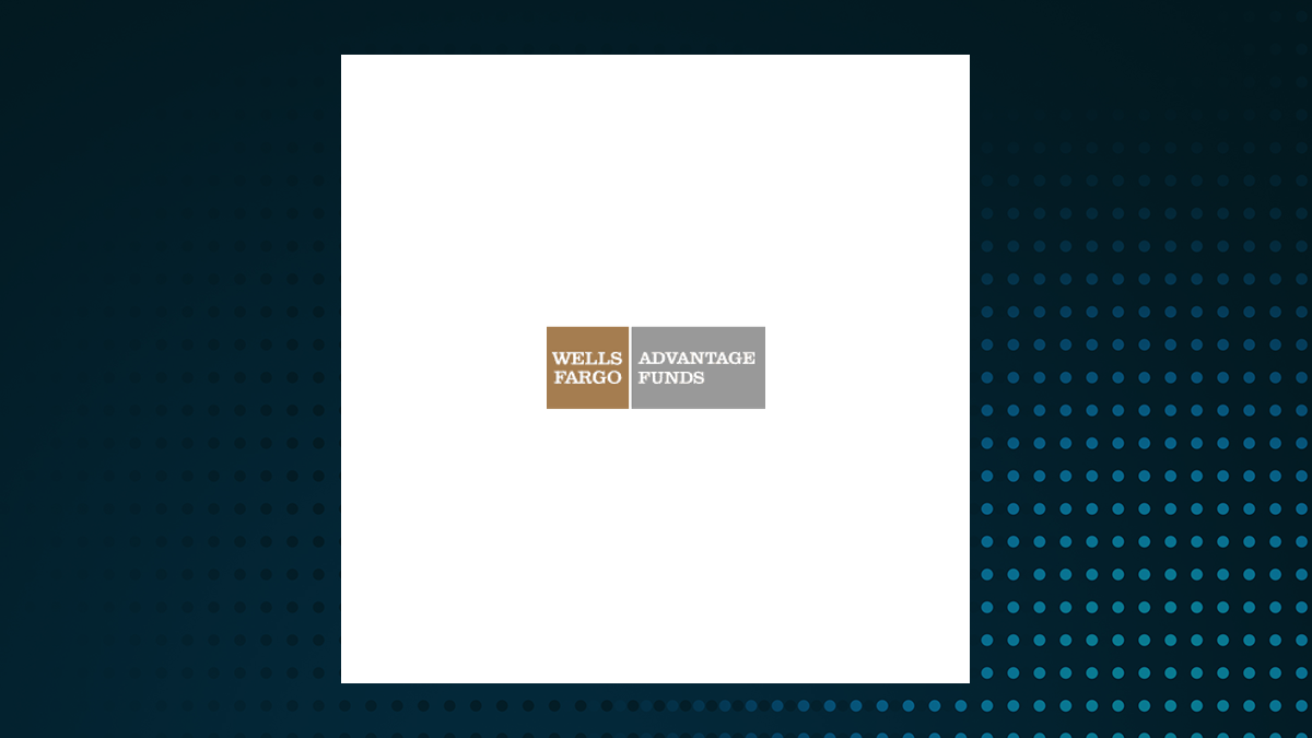 Wells Fargo Advantage Funds – Allspring Income Opportunities Fund