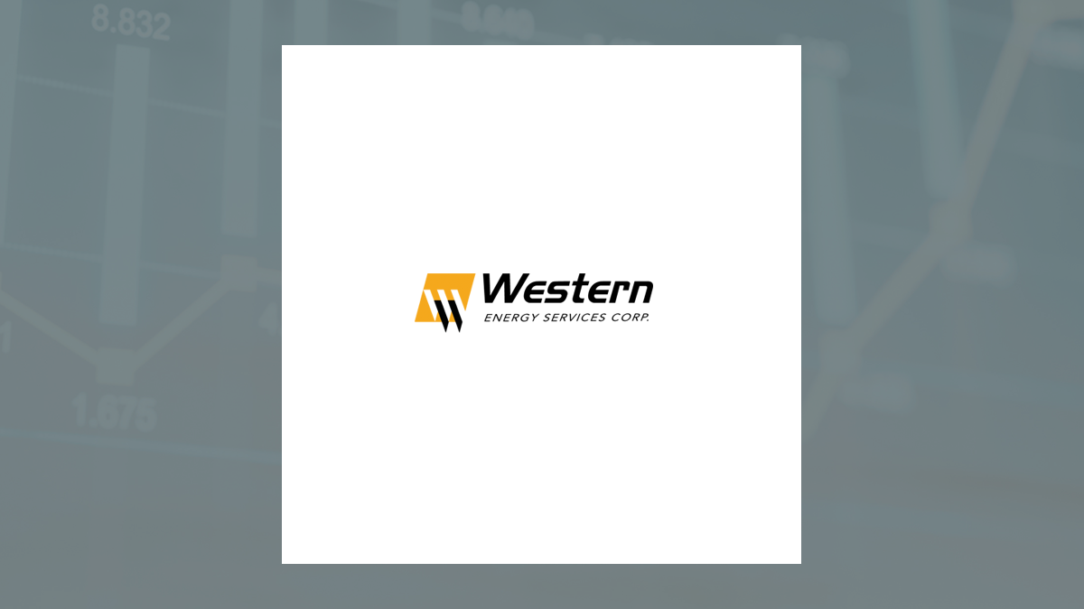 Western Energy Services logo