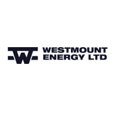 WTE stock logo