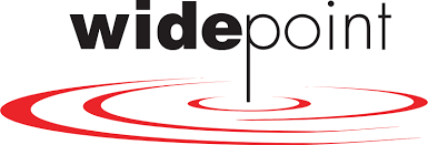 WidePoint logo