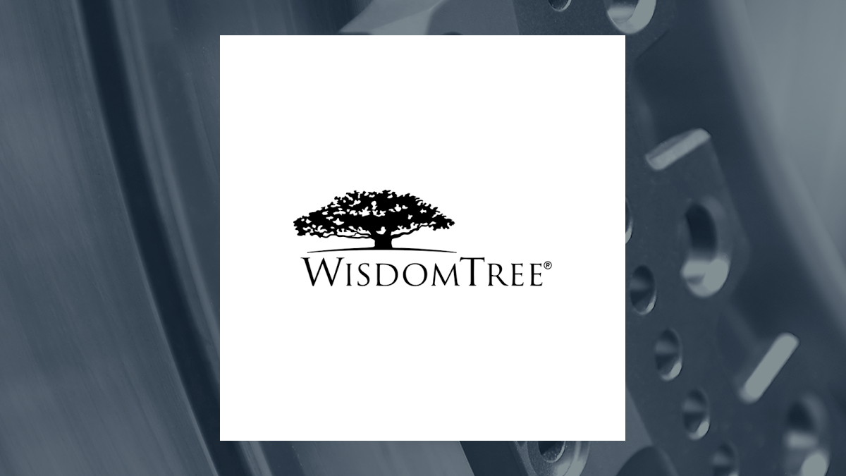 WisdomTree China ex-State-Owned Enterprises Fund logo