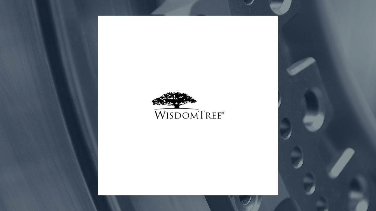 WisdomTree Cloud Computing Fund logo