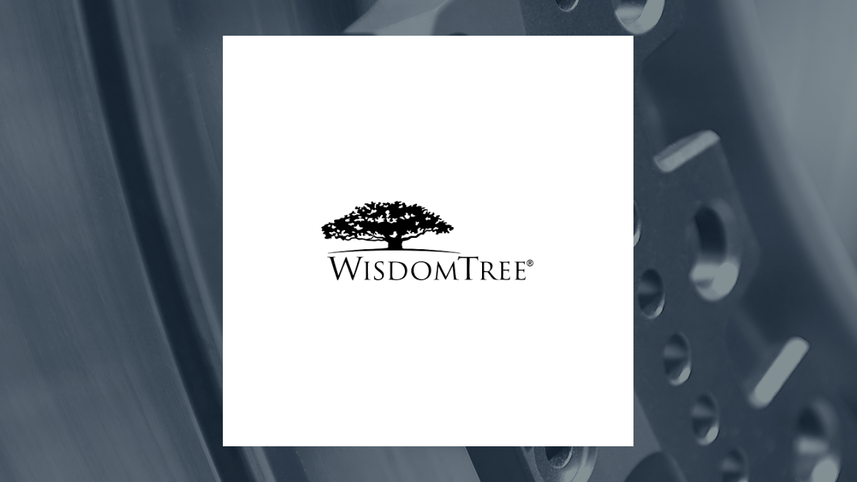 WisdomTree Emerging Markets Quality Dividend Growth Fund logo
