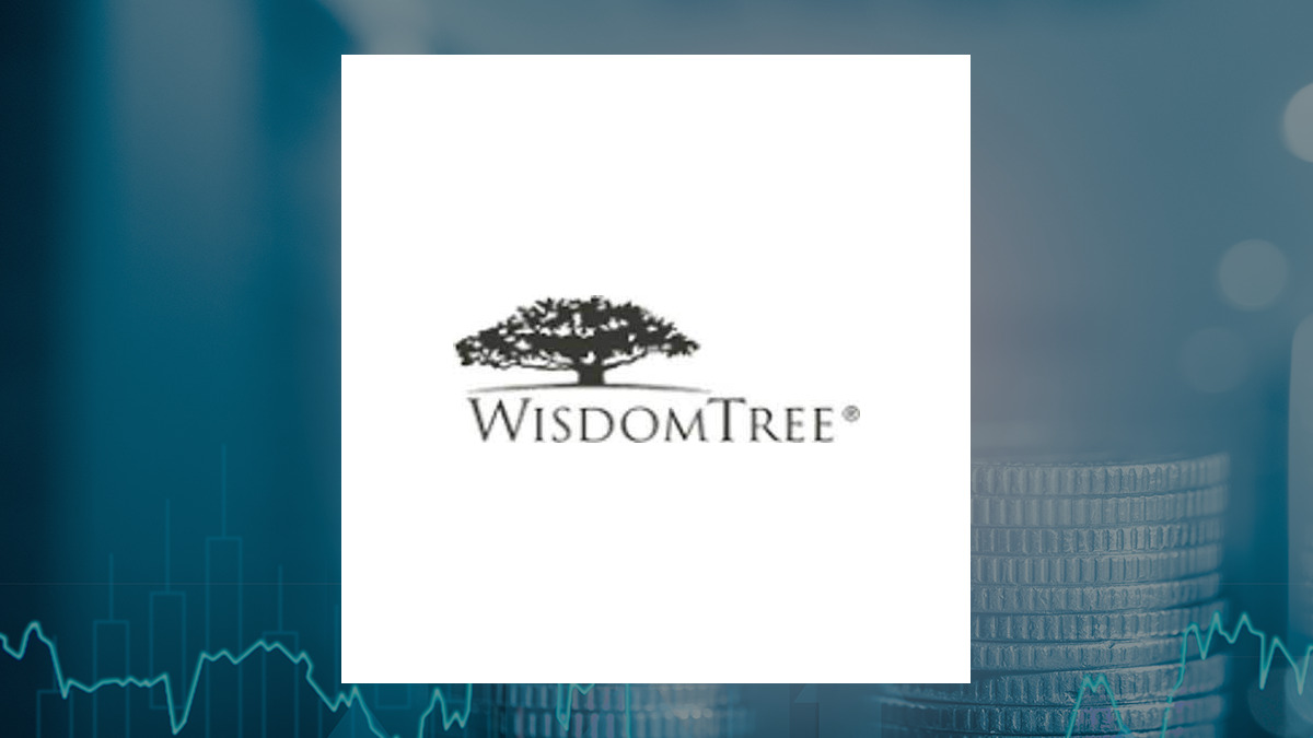 WisdomTree Emerging Markets SmallCap Dividend Fund logo