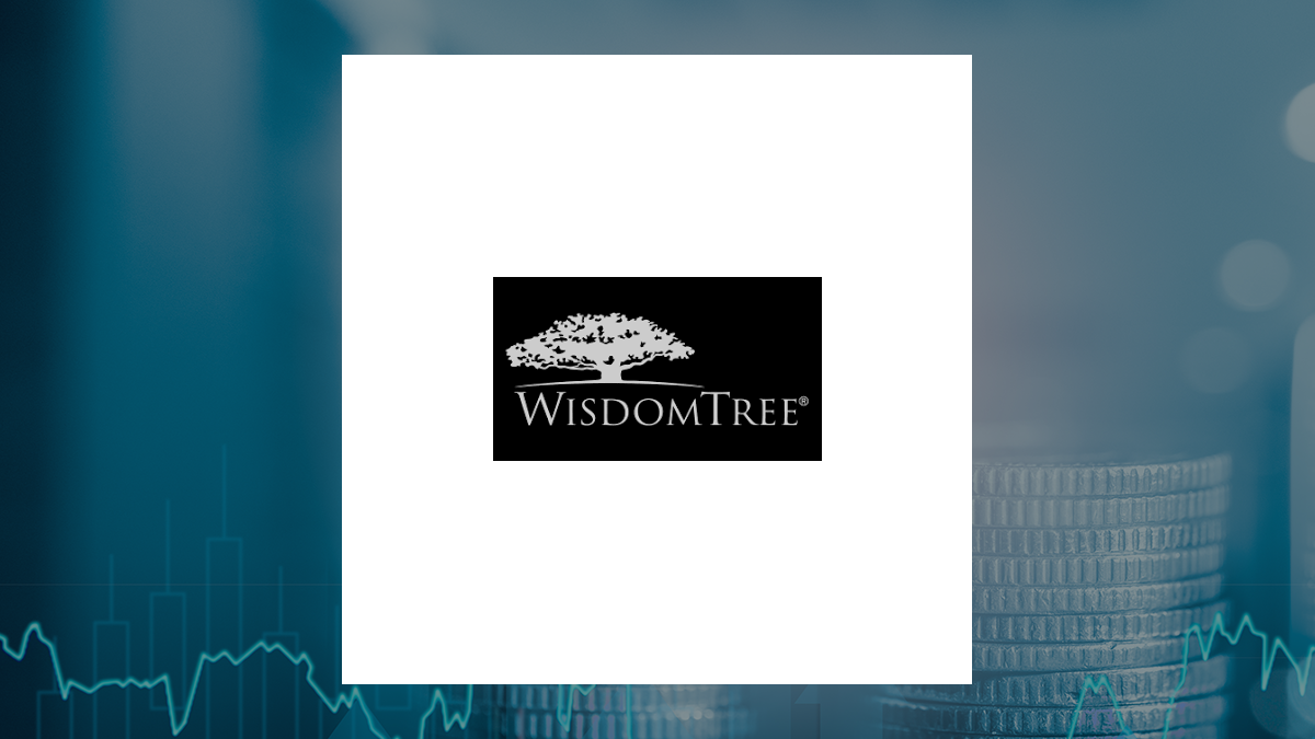 WisdomTree Global ex U.S. Quality Dividend Growth Fund logo