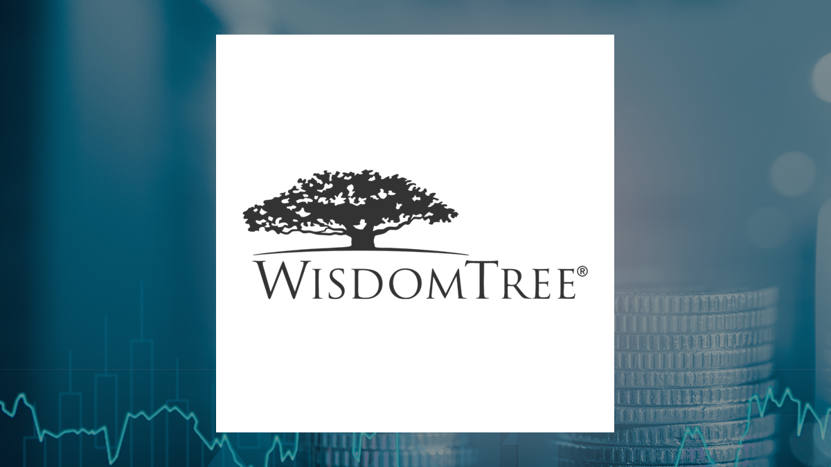 WisdomTree Interest Rate Hedged U.S. Aggregate Bond Fund logo