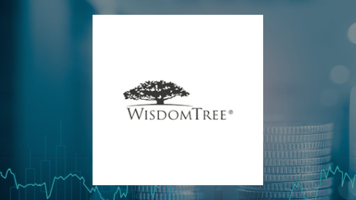 WisdomTree International SmallCap Dividend Fund logo