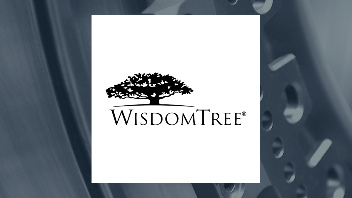 WisdomTree Japan Hedged SmallCap Equity Fund logo