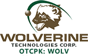 WOLV stock logo