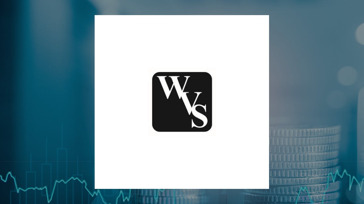 WVS Financial logo