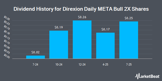 Dividend History for Direxion Daily META Bull 2X Shares (NASDAQ:METU)