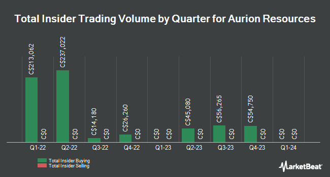 Insider Buying and Selling by Quarter for Aurion Resources (CVE:AU)