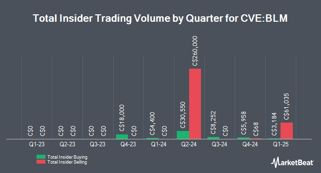 Insider Buying and Selling by Quarter for BluMetric Environmental (CVE:BLM)