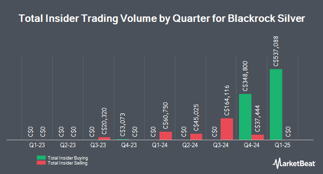 Insider Buying and Selling by Quarter for Blackrock Silver (CVE:BRC)