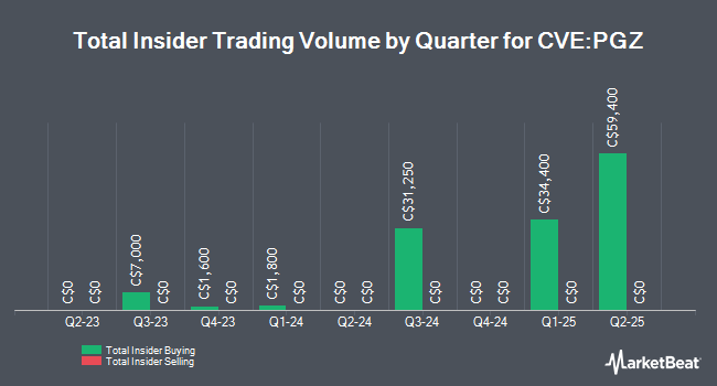 Insider Buying and Selling by Quarter for Pan Global Resources (CVE:PGZ)