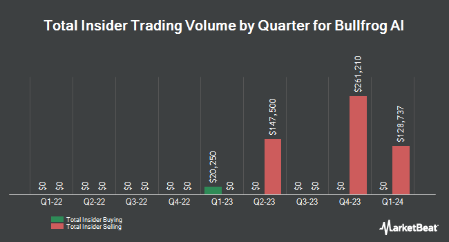 Insider Buying and Selling by Quarter for Bullfrog AI (NASDAQ:BFRG)