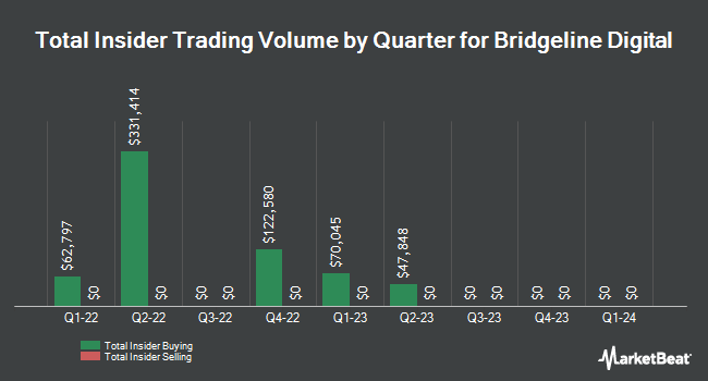 Insider Buying and Selling by Quarter for Bridgeline Digital (NASDAQ:BLIN)