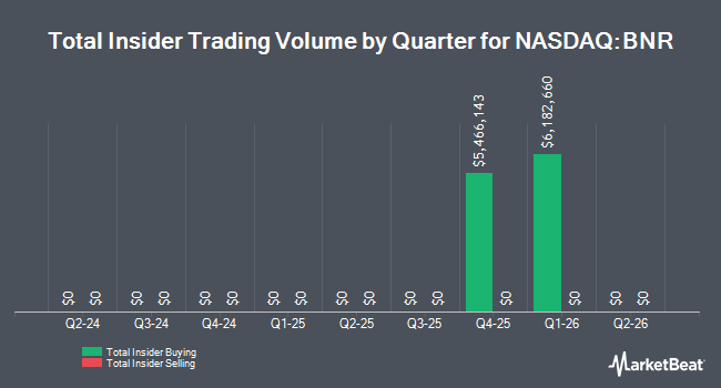 Insider Buying and Selling by Quarter for Burning Rock Biotech (NASDAQ:BNR)