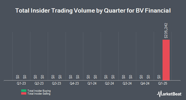 Insider Buying and Selling by Quarter for BV Financial (NASDAQ:BVFL)