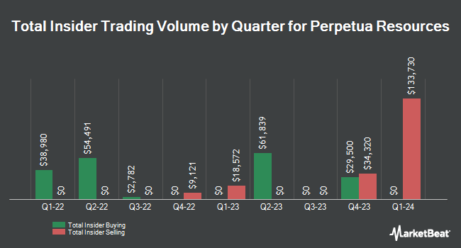 Insider Buying and Selling by Quarter for Perpetua Resources (NASDAQ:PPTA)