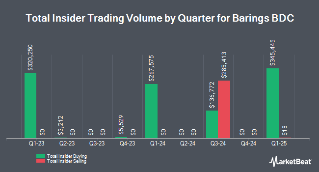Insider Buying and Selling by Quarter for Barings BDC (NYSE:BBDC)