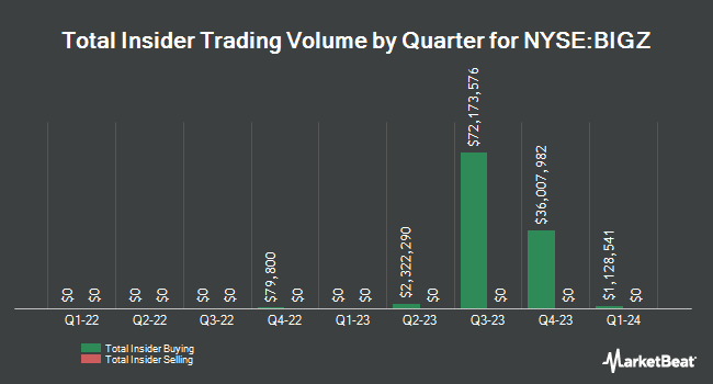 Insider Buying and Selling by Quarter for BlackRock Innovation and Growth Term Trust (NYSE:BIGZ)