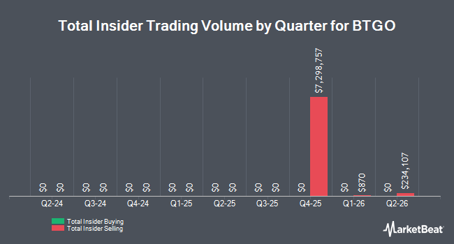 Insider Buying and Selling by Quarter for BTGO (NYSE:BTGO)