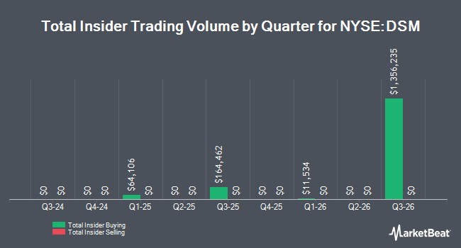 Insider Buying and Selling by Quarter for BNY Mellon Strategic Municipal Bond Fund (NYSE:DSM)